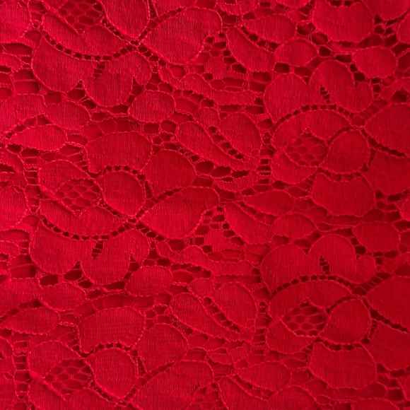 NEW PHOTOS! TOP, LACE FRONT, TANGO RED, SZ 5X, SCOOP NECK, SHAPED FIT, 30 INCHES - Picture 3 of 13